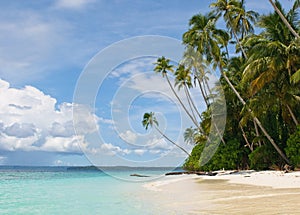 Tropical island - sea, sky and palm trees