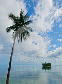 Tropical island - sea, sky and palm trees