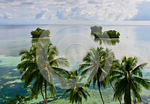 Tropical island - sea, sky and palm trees