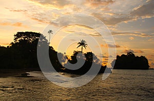 Tropical Island Sunset Beach Palms Nuqui