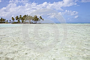 Tropical island and translucide water