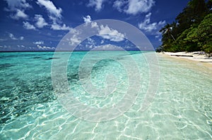 Tropical island with turquoise ocean