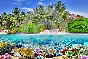 Tropical island and the underwater world