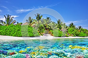 Tropical island and the underwater world in the Maldives.