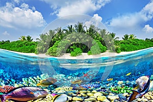 Tropical island and the underwater world in the Maldives.