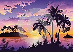 Tropical islands, palms, sky and birds