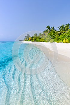 Tropical islands paradise. Exotic paradise. Travel, tourism and vacations. Palms on tropical beach landscape, luxury resort