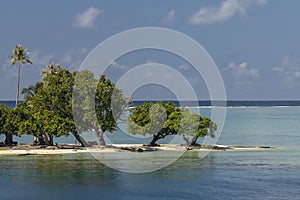 Tropical Islet of Raiatea