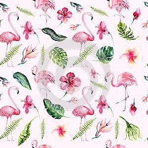 Tropical isolated seamless pattern with flamingo. Watercolor tropic drawing, rose bird and greenery palm tree, tropic