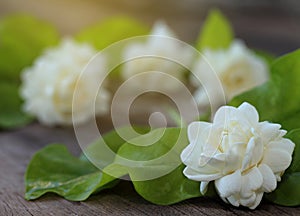 Tropical jasmine flower on wood.Jasmine flowers and leaves on br