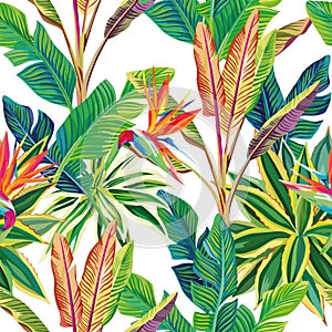 Tropical jungle birds of paradise and leaves seamless