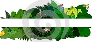 Tropical jungle foliage. Floral design background - vector illustration