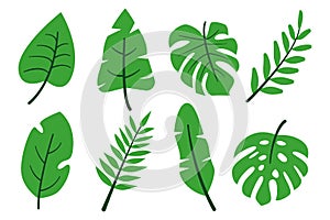 Tropical jungle leaves abstract green flat set