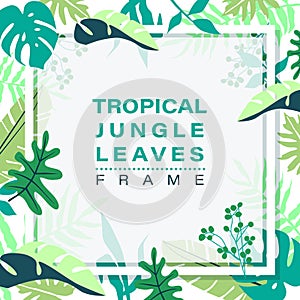 Tropical jungle leaves background
