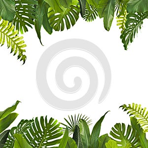 Tropical Jungle Leaves Background