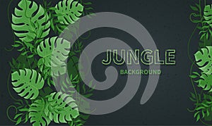 Tropical jungle leaves. Green tropic palm and monstera leaves, lianas on the black background. photo