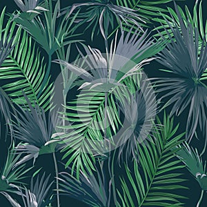 Tropical Jungle Palm Leaves Seamless Background, Floral Pattern Illustration for Wallpaper, Print Design, Textile Template