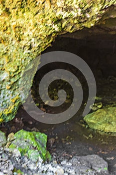 Tropical jungle plants trees rocks stones cave cenote Muyil Mexico