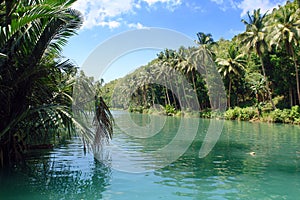 Tropicale la giungla un fiume 