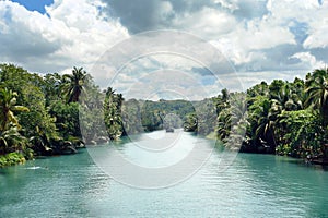 Tropical Jungle River