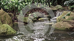 Tropical Jungle Waterfall