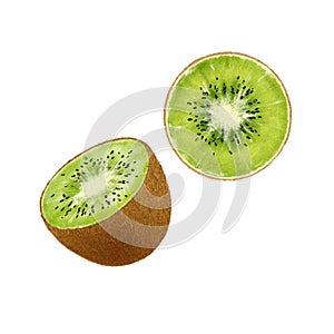Tropical kiwi juicy fruit illustration