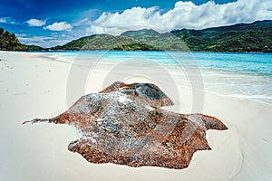 Tropical lagoon with granite boulders in the turquoise water and a pristine white sand Seychelles