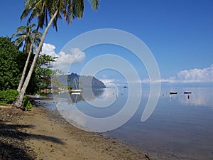 A Tropical Lagoon on Hawaii