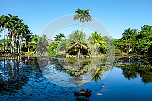 Tropical lake nearby crocodile farm at Playa Larga, Cuba