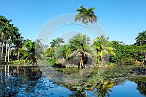 Tropical lake nearby crocodile farm at Playa Larga, Cuba photo