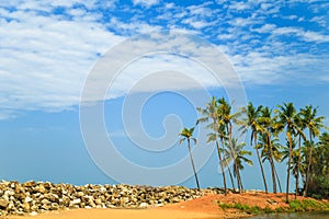 Tropical landscape with blue sky and palm trees.