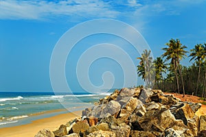 Tropical landscape with blue sky and palm trees.