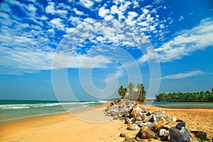 Tropical landscape with blue sky and palm trees.