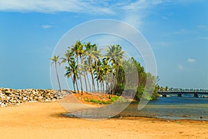 Tropical landscape with blue sky and palm trees.