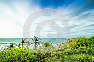 Tropical landscape on the cliff of Balangan beach, Bali, Indonesia, Asia. Sunny day, beautiful blue sky, green palms.