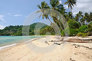 Tropical landscape with deserted amber sand beach, coconut palm trees and turquoise tropical sea on Koh Chang Island in Thailand