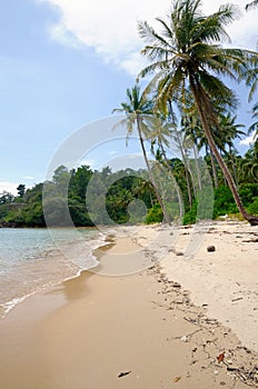 Tropical landscape with deserted amber sand beach, coconut palm trees and turquoise tropical sea on Koh Chang island in Thailand