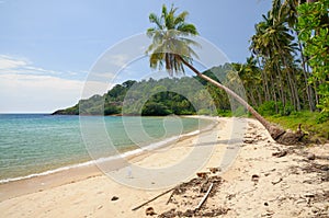 Tropical landscape with deserted amber sand beach, coconut palm trees and turquoise tropical sea on Koh Chang island in Thailand