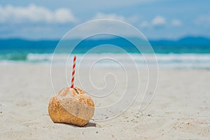 Tropical landscape. fresh coconut with a straw on a sandy beach