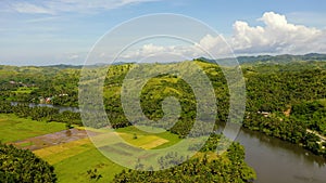 Tropical landscape with green hills and rice fields, aerial view. The nature of the Philippine Islands, Samar