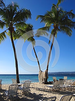 Tropical landscape with green palms on white sandy beach blue ocean water and sky with clouds