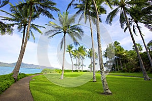 Tropical landscape of Hayman Island, Queensland Au