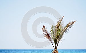 Tropical Landscape Holiday Travel Background Journey Summer Concept