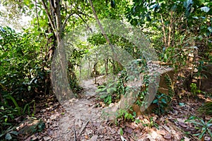 Tropical landscape of Koh Kood