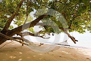 Tropical landscape of Koh Kradan