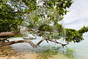 Tropical landscape of Koh Kradan