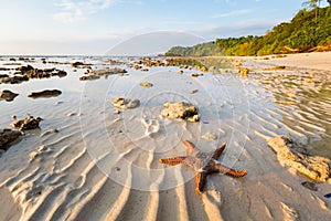 Tropical landscape of Koh Kradan