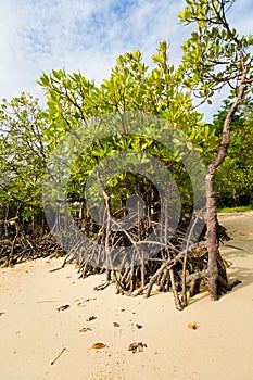 Tropical landscape of Koh Kradan