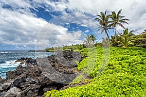 Tropical Landscape On Maui