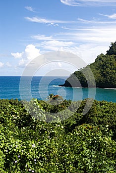 Tropical landscape (Maui, Hawa